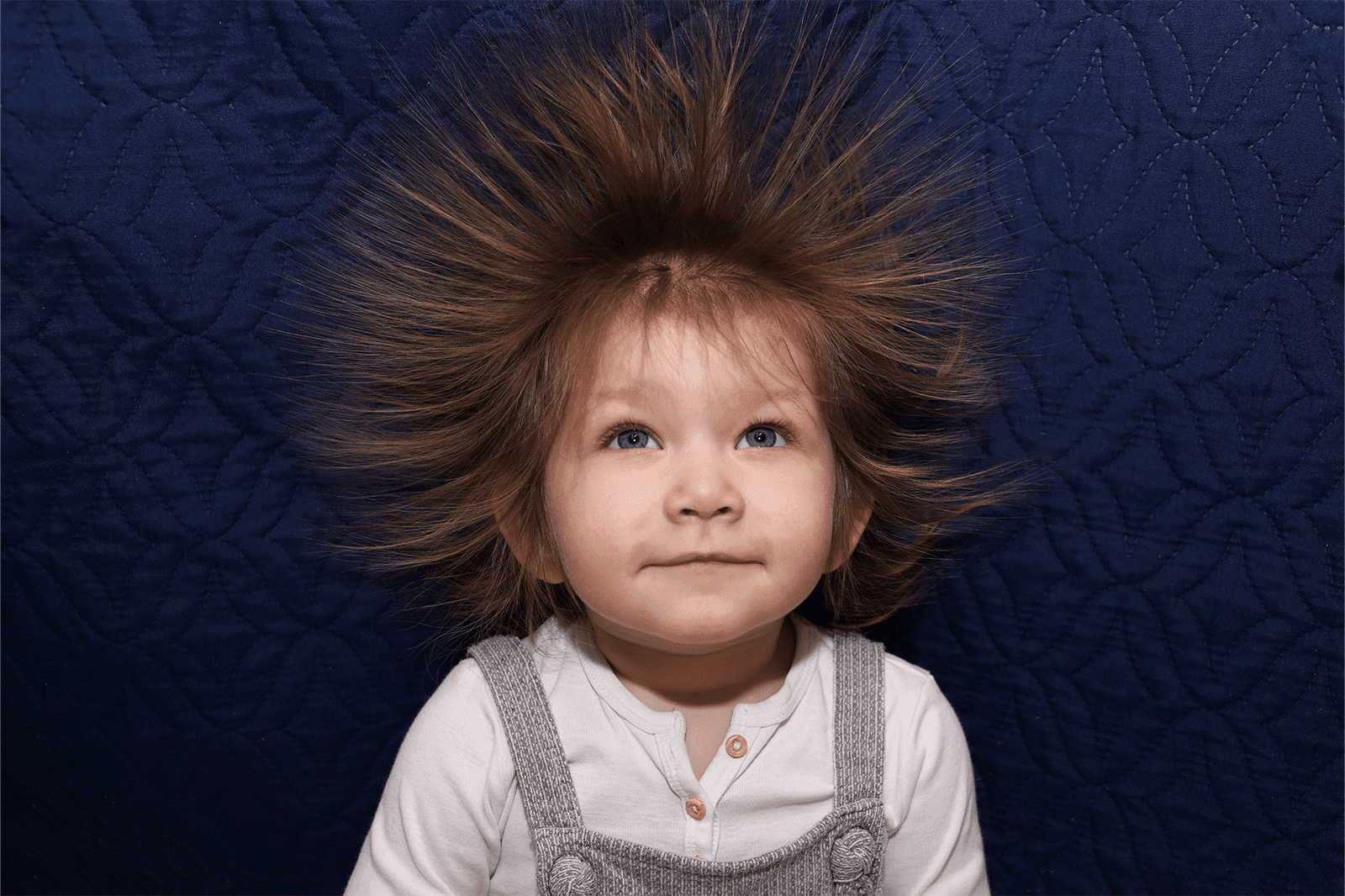 How Static Affects the Home and What to Do About It - Solenco South Africa