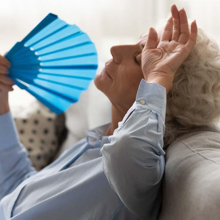 Enhancing Comfort for Seniors: The Impact of Humidity Control in Home Environments