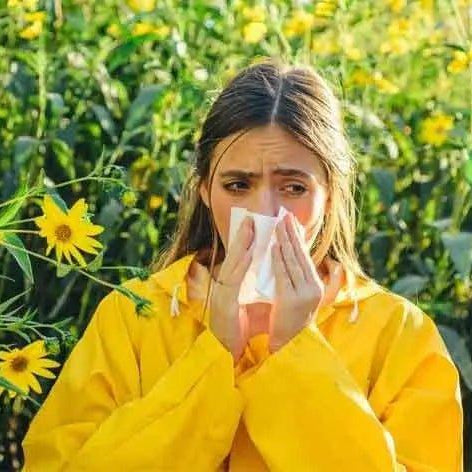 Breathe Easier with a Solenco Air Purifier: Prevent Hay Fever and Reduce Your Reliance on Medicine in South Africa - Solenco South Africa