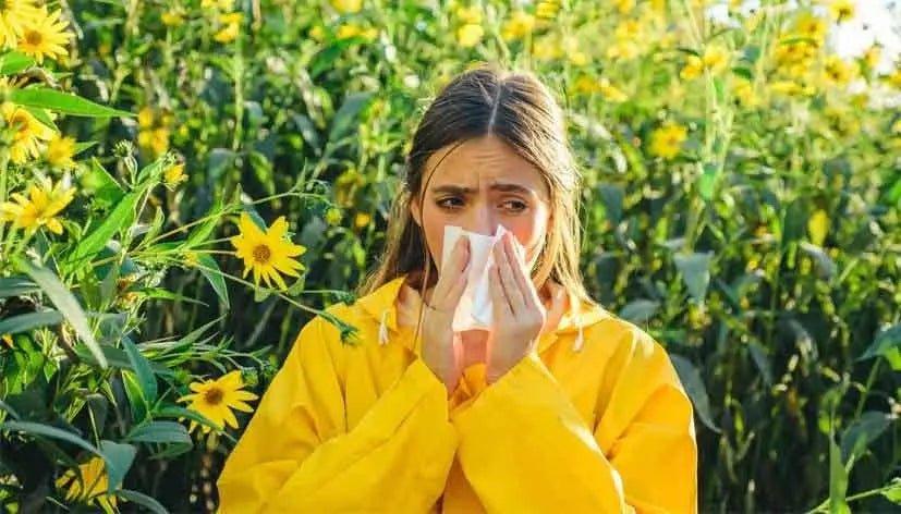 Breathe Easier with a Solenco Air Purifier: Prevent Hay Fever and Reduce Your Reliance on Medicine in South Africa - Solenco South Africa