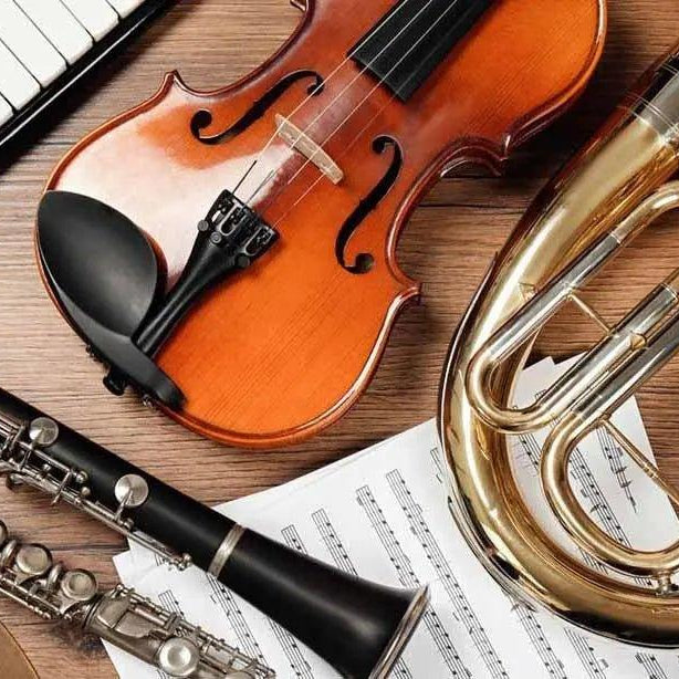 The Crucial Role of Humidity Control in Preserving Your Musical Instruments - Solenco South Africa