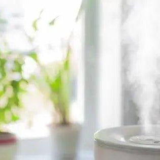 Ultimate Humidifier Buying Guide for South Africans - Solenco South Africa