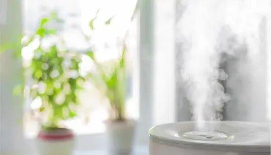 Ultimate Humidifier Buying Guide for South Africans - Solenco South Africa