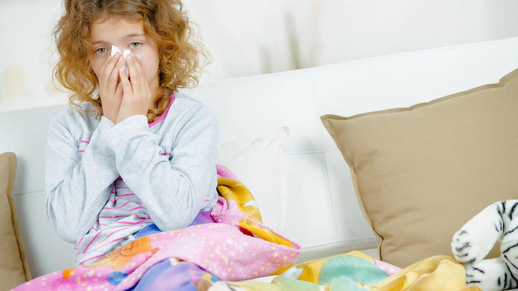 Understanding the Impact of Humidity Levels on the Spread of Flu in Homes and Offices - Solenco South Africa